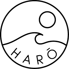 Haro surf school
